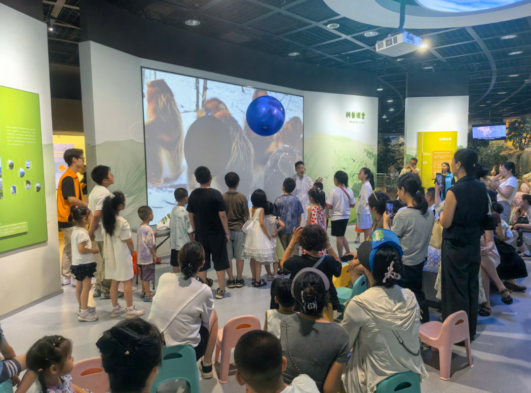 14:00空气炮弹来袭！（贝林馆）