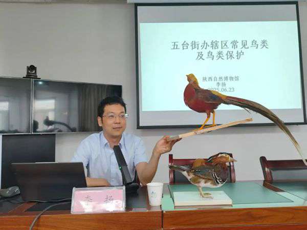 开展鸟类保护科普讲座  共筑秦岭生态防线